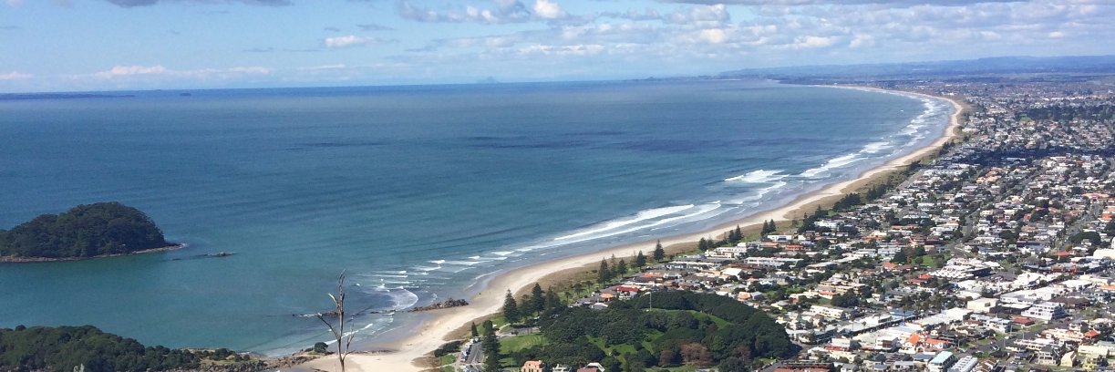 Dorothea Collier banner