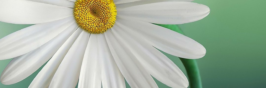 Natashalakeauth's profile banner image