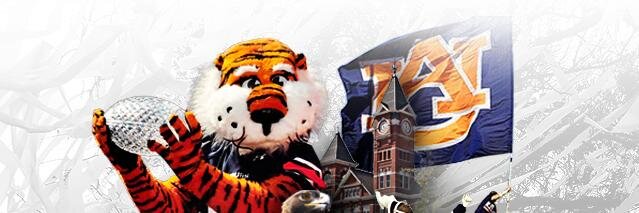 bburkedoeswork's profile banner image