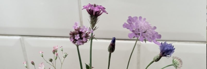 :): Ramblings of me, myself and mind banner