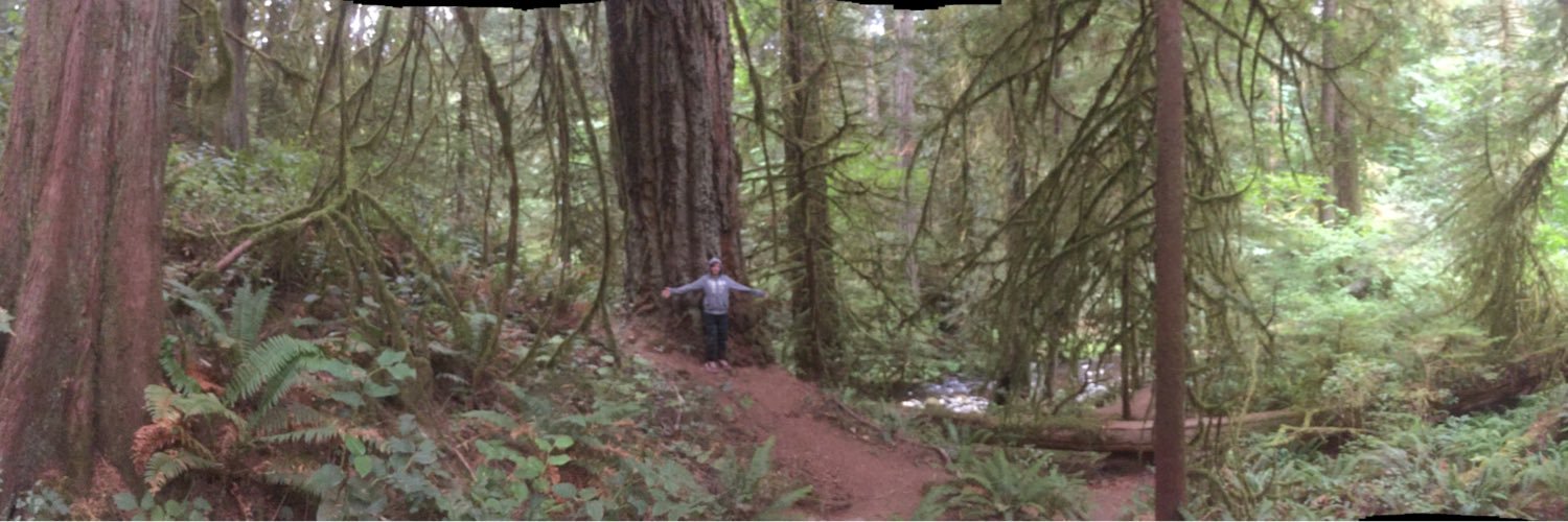 Eric Wooltorton banner