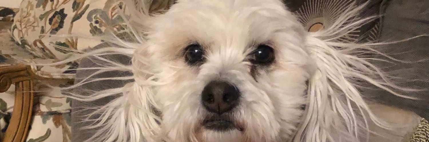 JaredK22's profile banner image