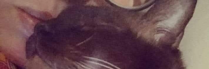 Monica Morelli banner
