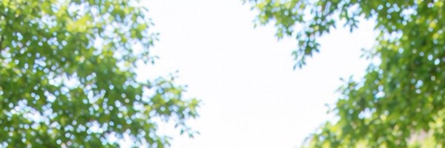 crystalcassie's profile banner image