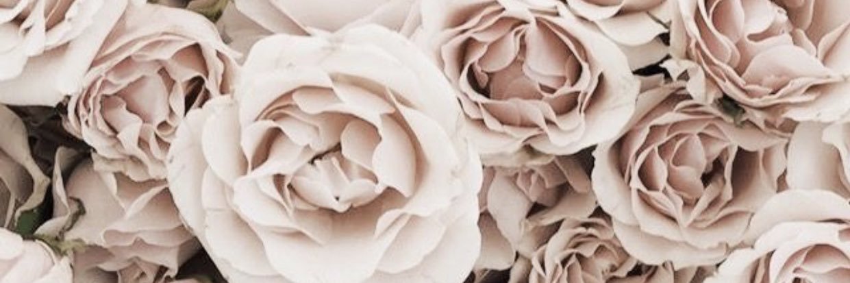 taylor_jenk's profile banner image