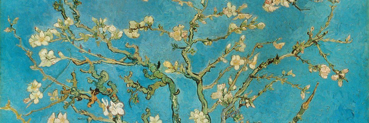 CaroRandle's profile banner image