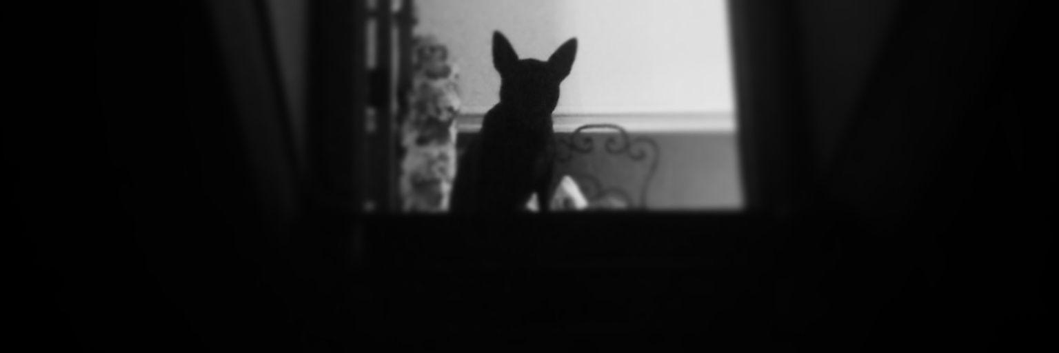 VanityThyName's profile banner image