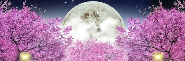 絵里香 #TeamAIKAMU banner