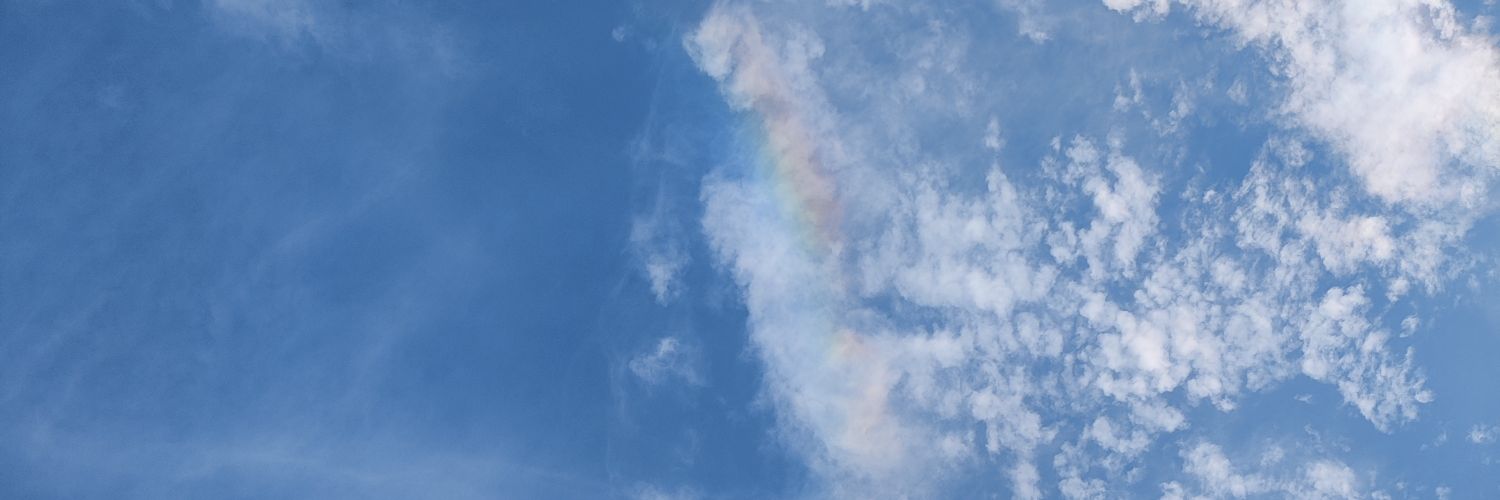 platypus 🇵🇸 banner