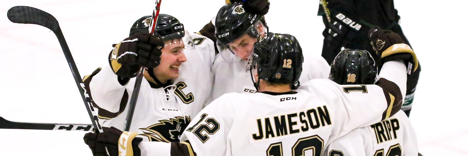 UM Bisons Men's Hockey banner