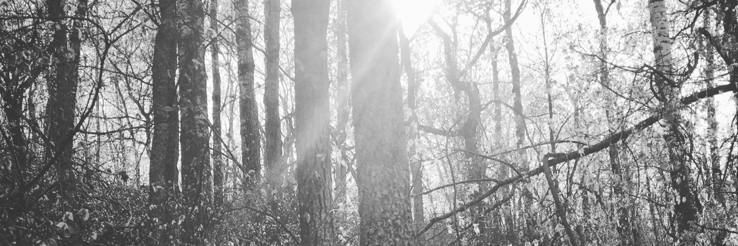 Katbee13's profile banner image