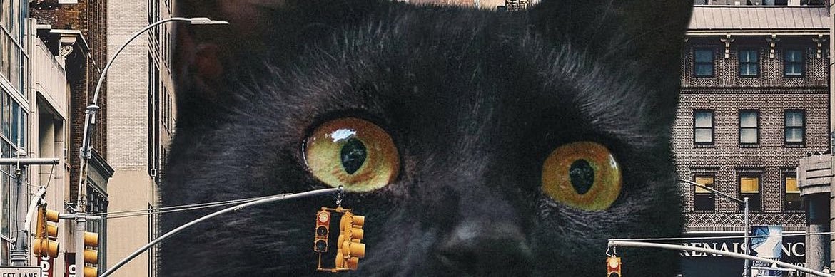 ercanberke's profile banner image