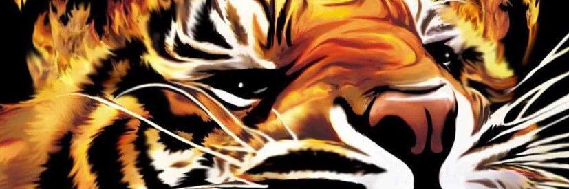 Wildtim13's profile banner image