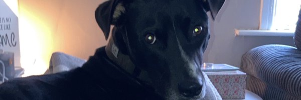 chrisgaskell92 Profile Banner