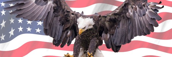 Bienko Profile Banner