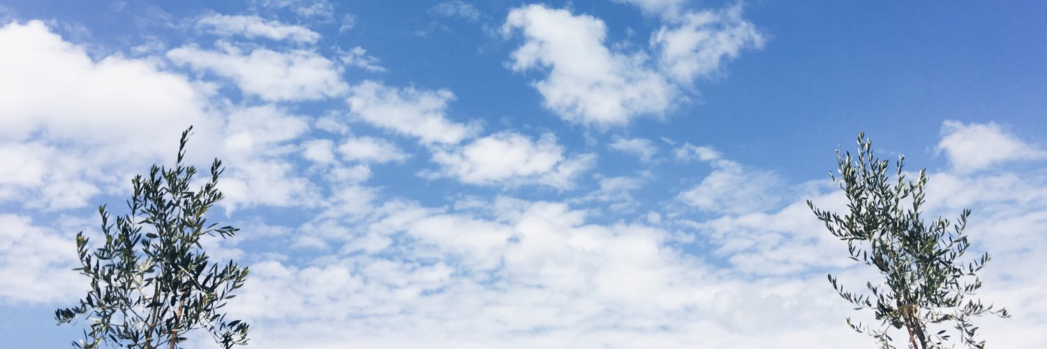 flicjade's profile banner image