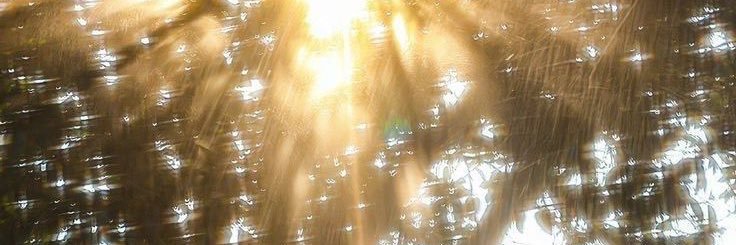 ᴢᴀʜʀᴀᴀ banner