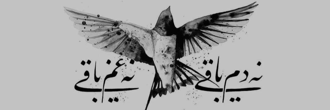 zynca_hyt's profile banner image