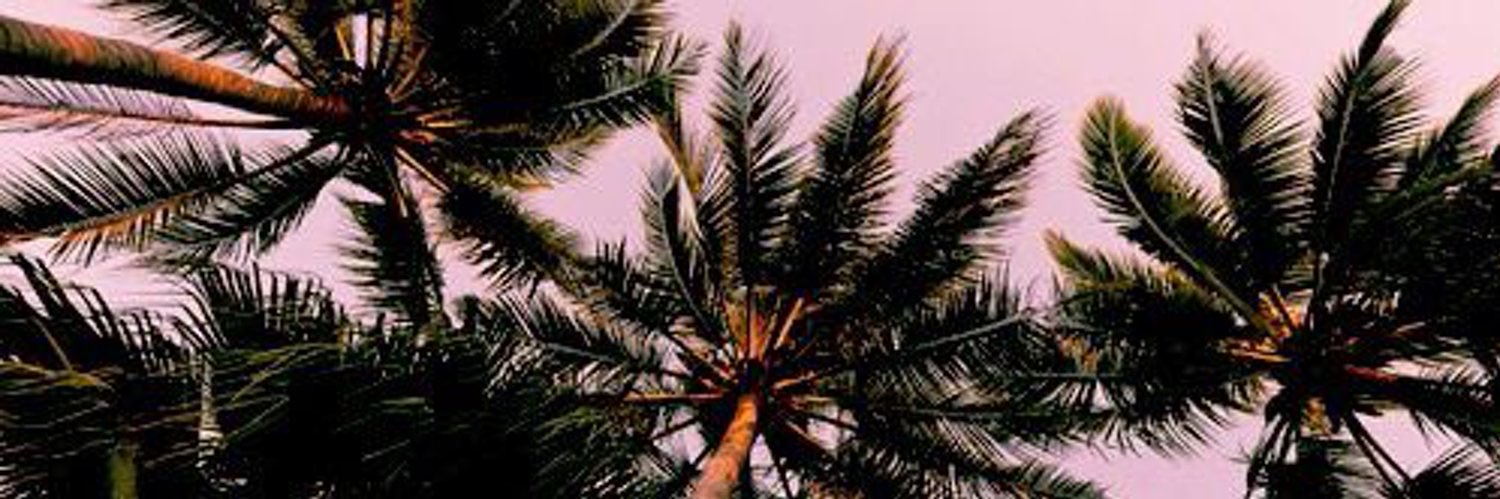Lesliex17's profile banner image
