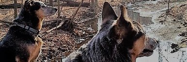 JohnBrolley's profile banner image