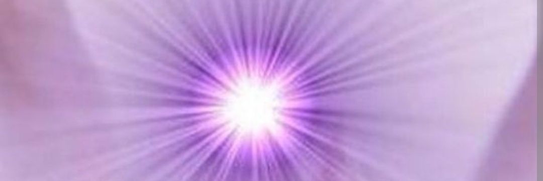 comprendermas's profile banner image