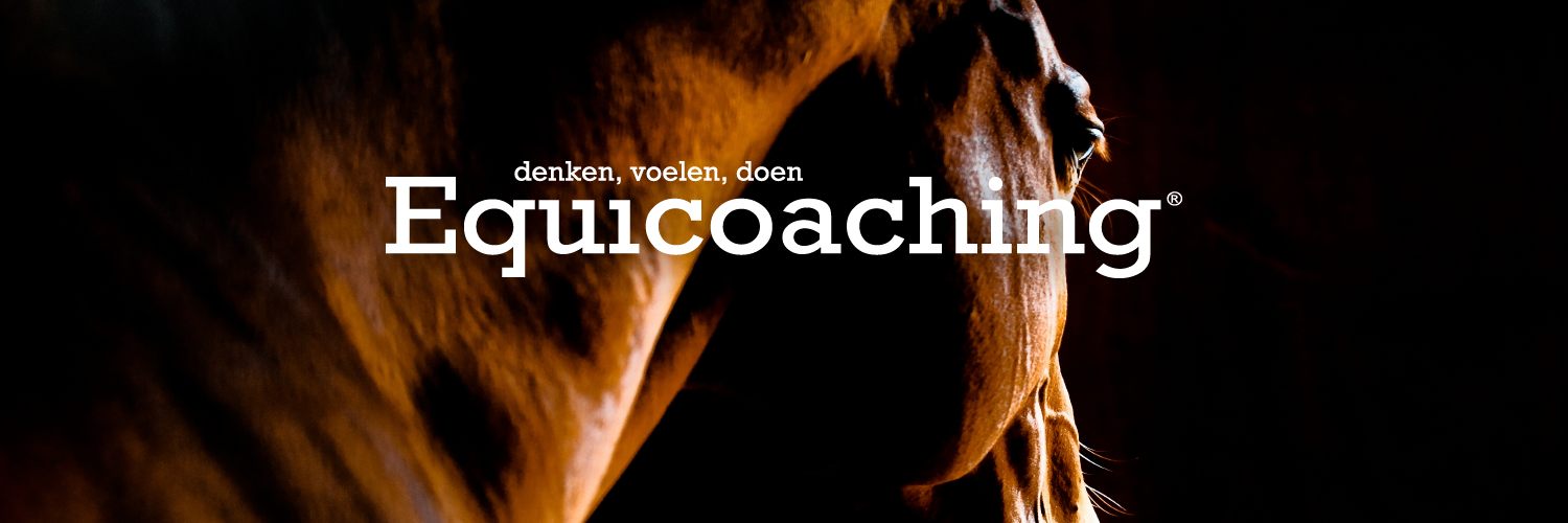 Equicoaching.com banner