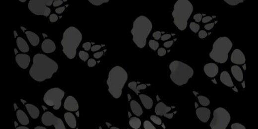 DawgGrog's profile banner image
