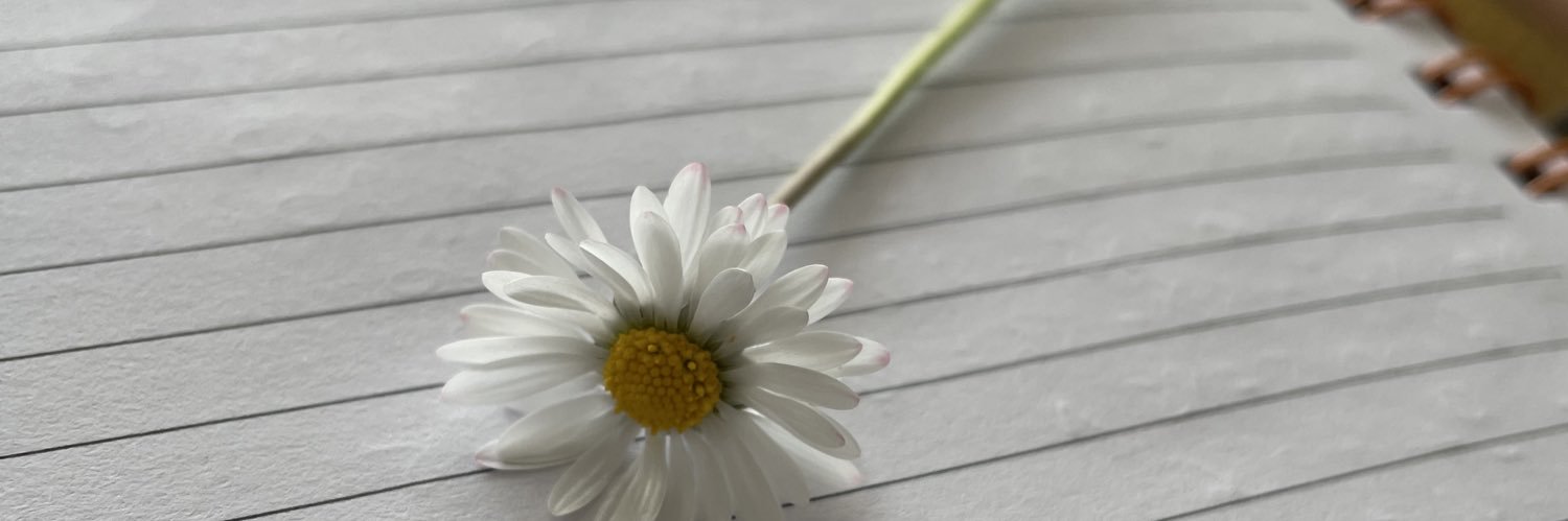TariAncalime's profile banner image