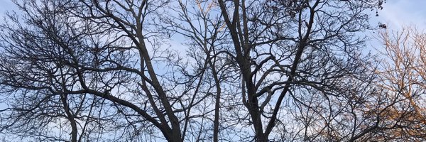 cliotropic Profile Banner