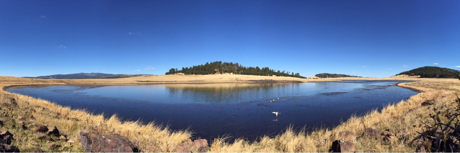 Dan Schweigel banner