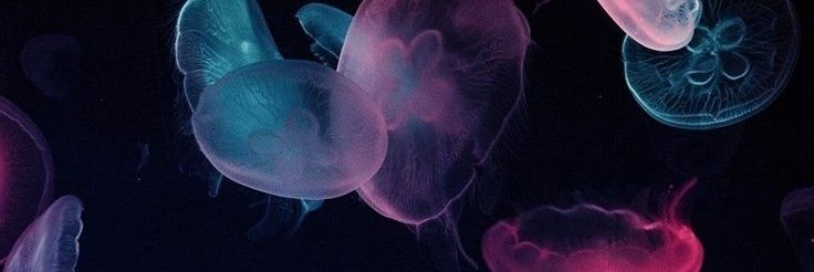 mayruiz_'s profile banner image