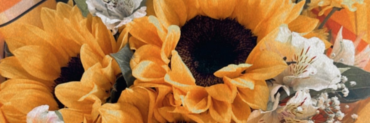 Sofia__Ca's profile banner image