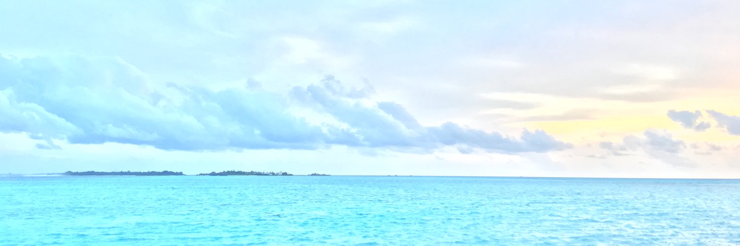 rihidheli's profile banner image
