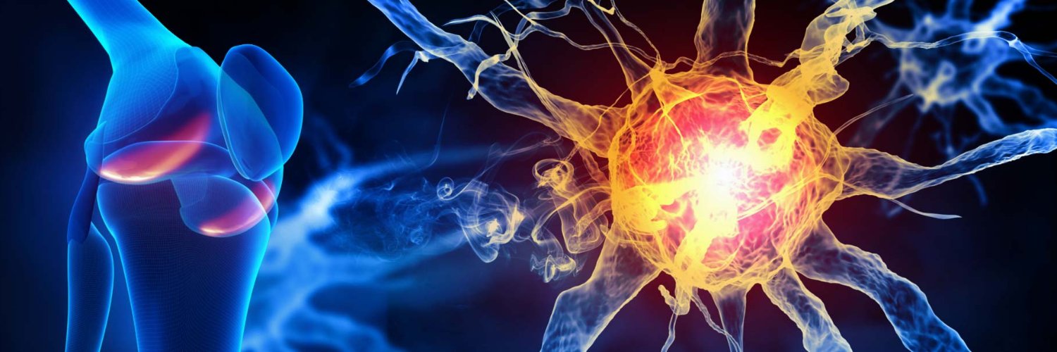 Inflammation and Ageing's banner
