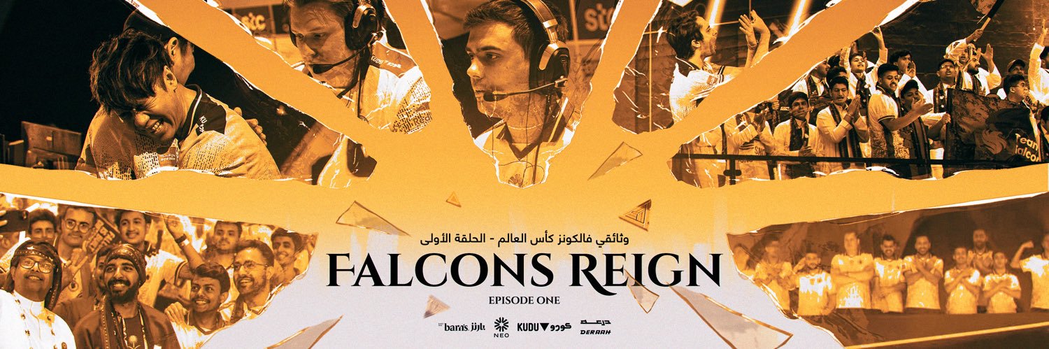 Team Falcons's banner