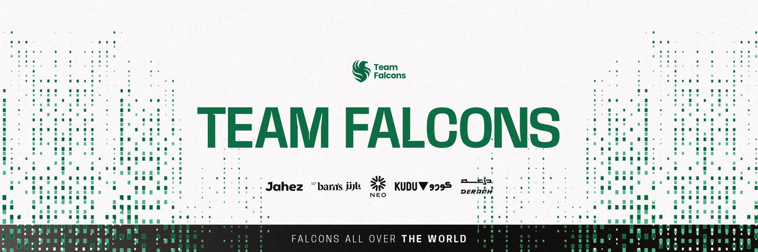 Team Falcons banner