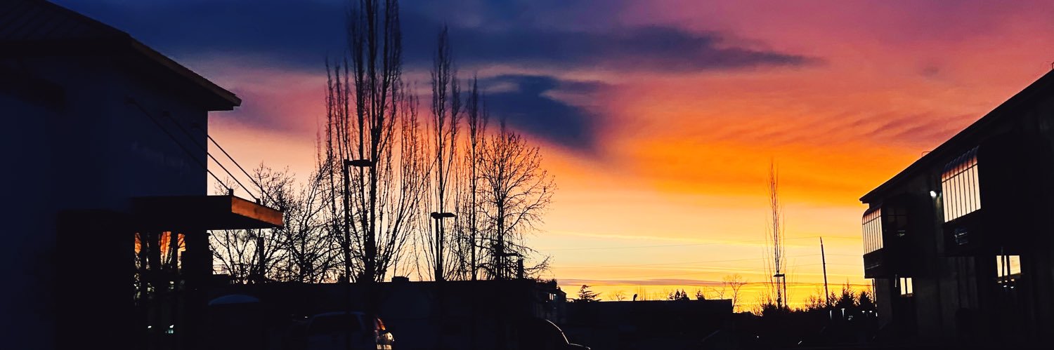 taylorhalvorson's profile banner image