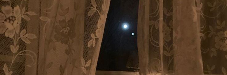 𝙼𝚊𝚛𝚝𝚒𝚗𝚊⁷ 🇵🇸 banner