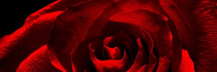 lyssasmart's profile banner image
