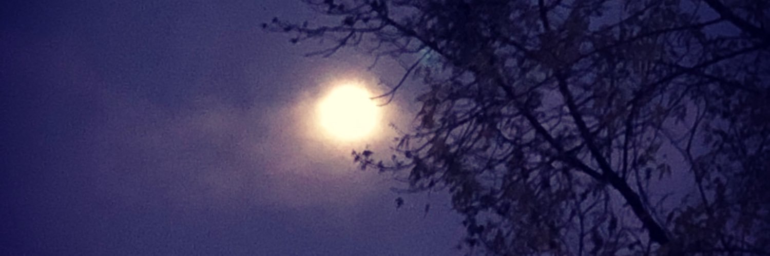 laurappadron's profile banner image