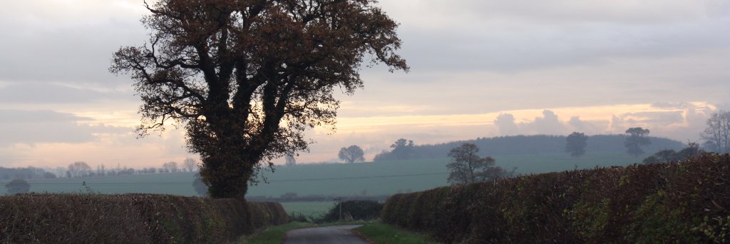 JohnMannMPLocal's profile banner image