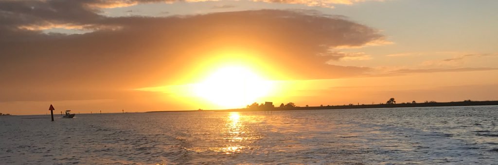 aliparks7's profile banner image