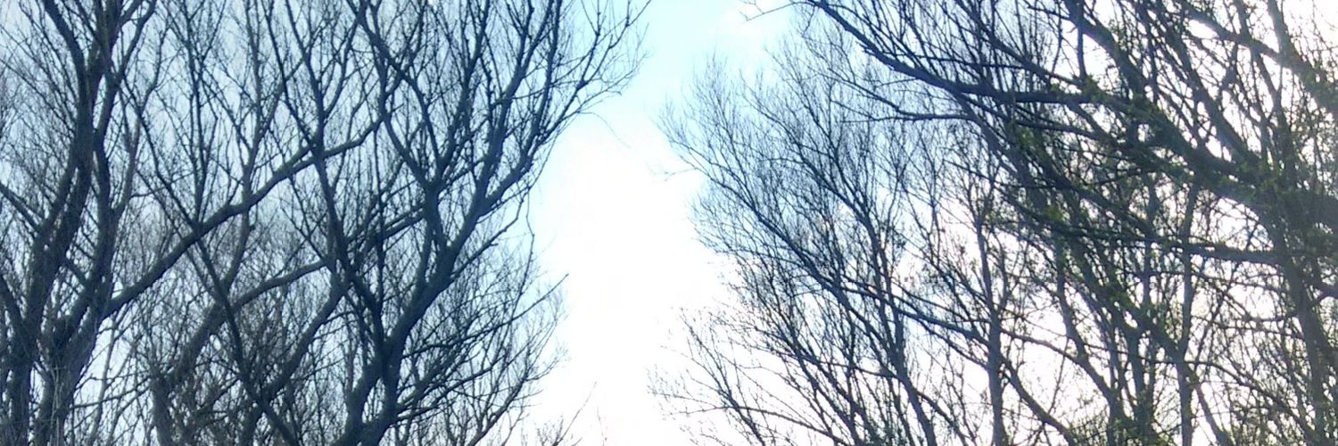 MicaelaHeyt's profile banner image