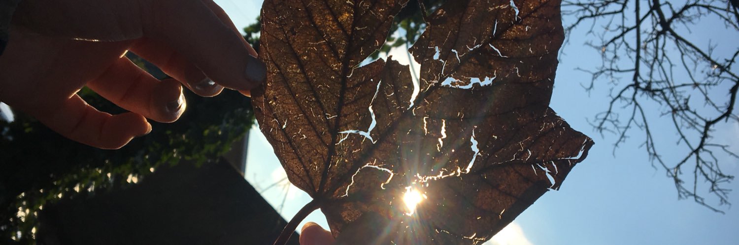 LittleMissJNQT's profile banner image