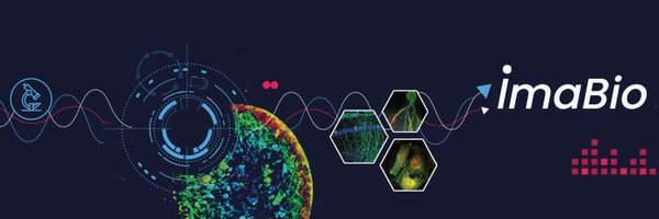 GDR_ImaBio Profile Banner