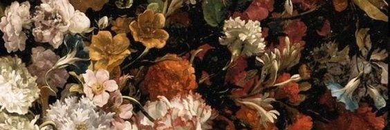 Fiona 🗡️ banner