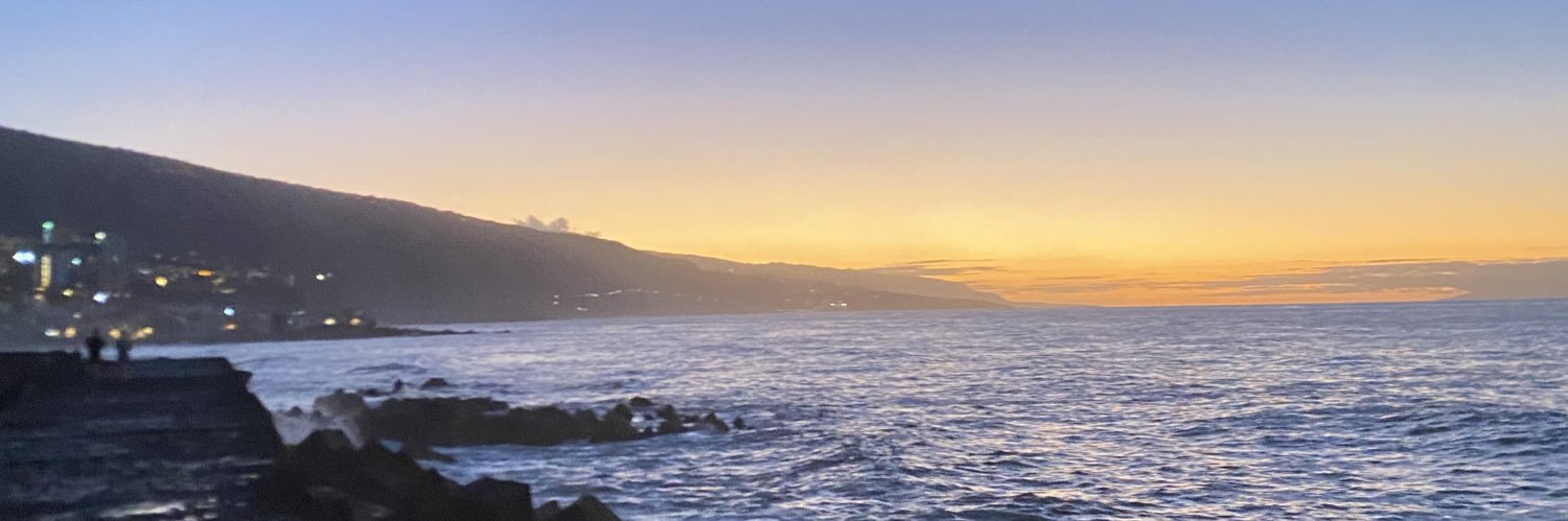 ElitsaNede's profile banner image