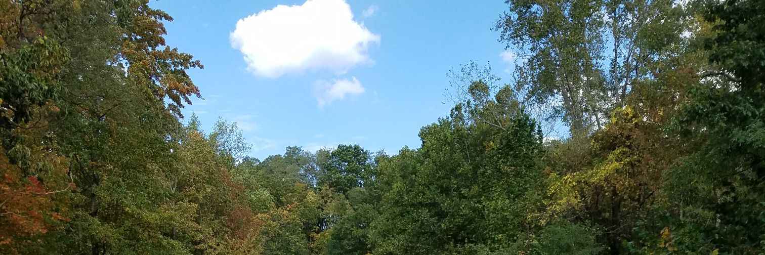cogbec's profile banner image