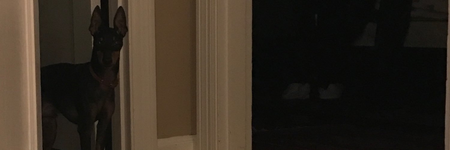 GilmanBen's profile banner image
