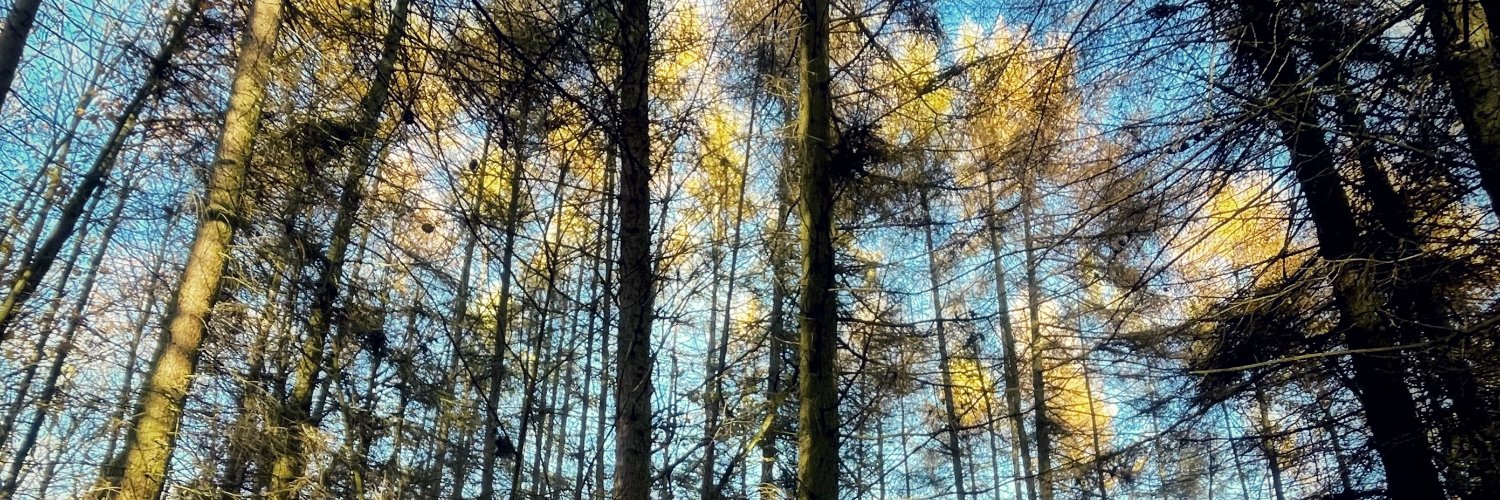 NoRulesPhoto's profile banner image
